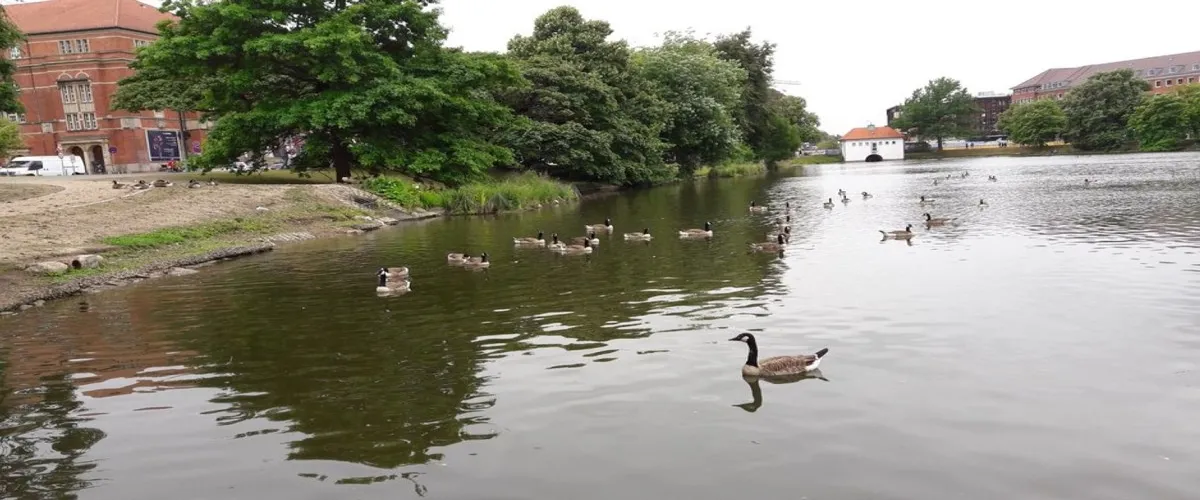 Foto 2 Hiroshimapark