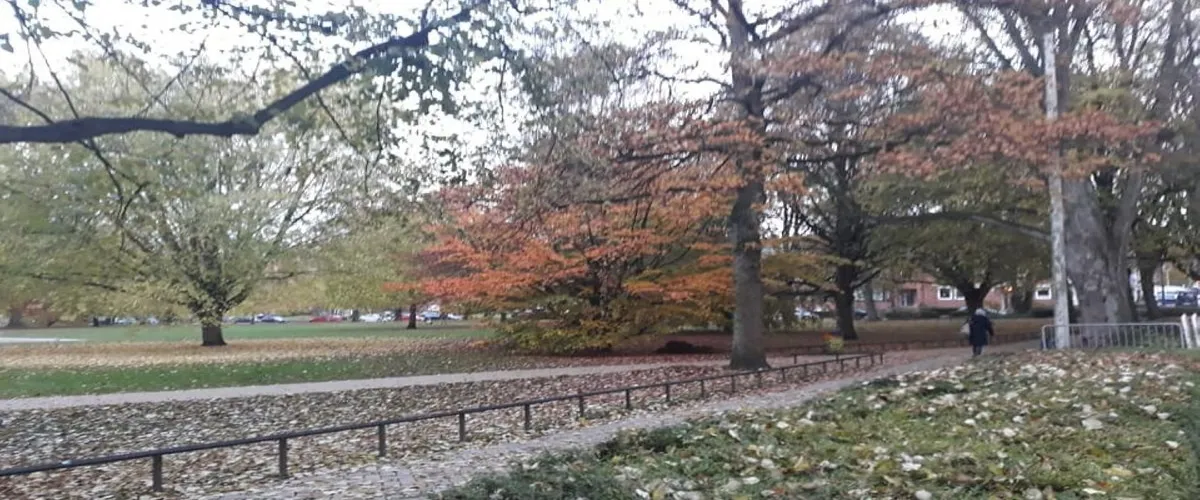 Foto 5 Hiroshimapark