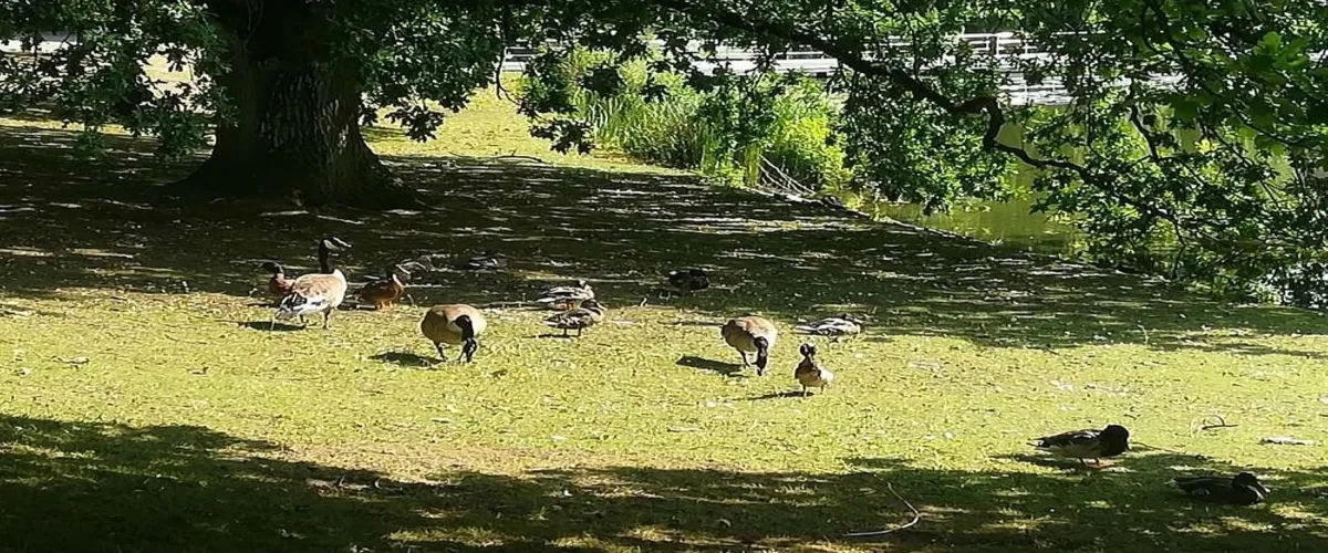 Foto 4 Kiel Botanical Gardens