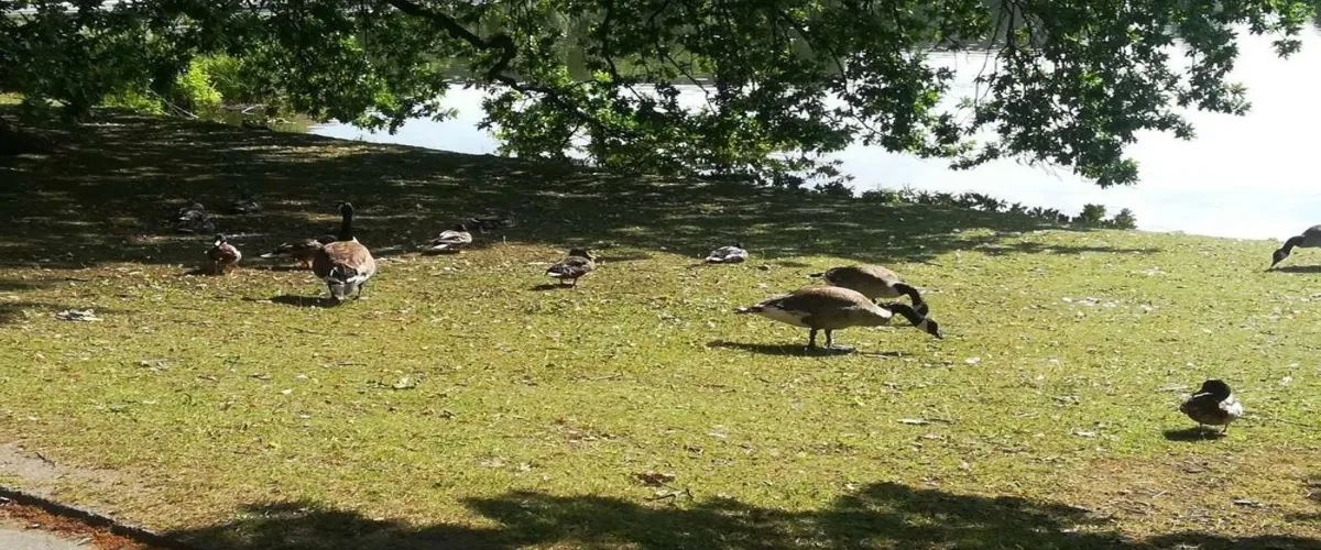 Foto 5 Kiel Botanical Gardens