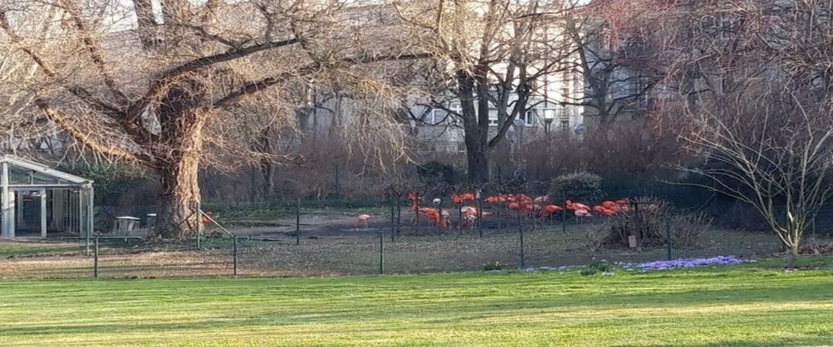 Foto 5 Zoo Karlsruhe