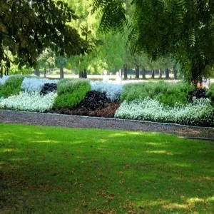 Foto de Herzogenriedpark