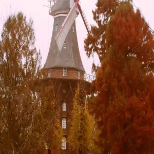 Foto de Mühle am Wall
