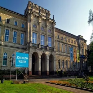 Foto de Naturkundemuseum Karlsruhe