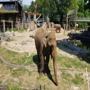 Foto de Zoo Karlsruhe