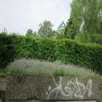Foto 2 Bundesgerichtshof