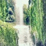 Foto 3 Herzogenriedpark