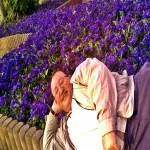 Foto 4 Herzogenriedpark
