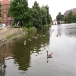 Foto 2 Hiroshimapark