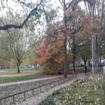 Foto 5 Hiroshimapark