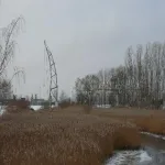 Foto 4 IGA Park Rostock