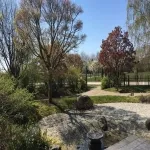 Foto 5 IGA Park Rostock