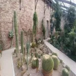 Foto 5 Karlsruhe Botanical Gardens