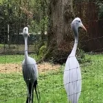 Foto 5 Koelner Zoo