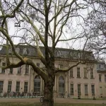 Foto 4 Schlossgarten