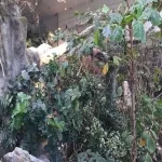 Foto 3 Zoo Karlsruhe