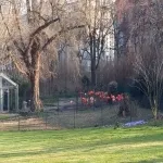 Foto 5 Zoo Karlsruhe
